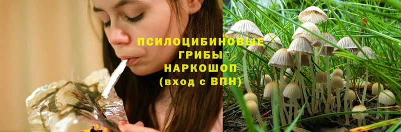 Галлюциногенные грибы Magic Shrooms Донской