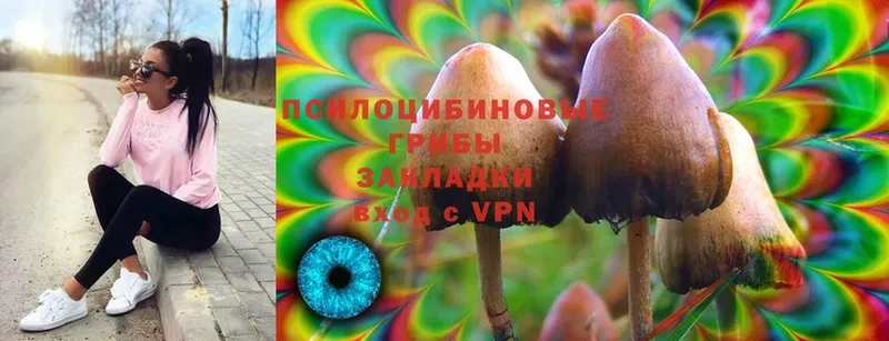 Галлюциногенные грибы MAGIC MUSHROOMS  mega рабочий сайт  Донской 